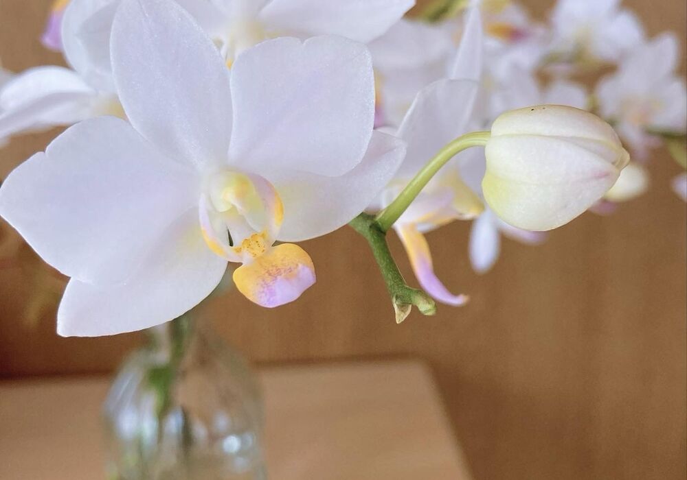 image_6483441 (1)