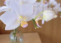 image_6483441 (1)