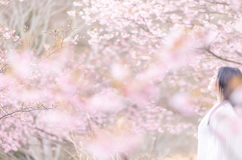 730AD6D2-772A-4954-82DB-14A9994AD96B